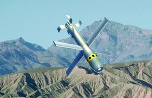 The GBU-44/E Viper Strike munition.